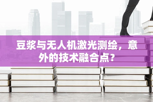 豆浆与无人机激光测绘，意外的技术融合点？