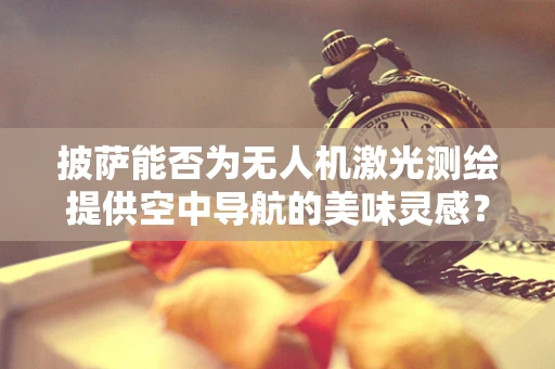 披萨能否为无人机激光测绘提供空中导航的美味灵感？