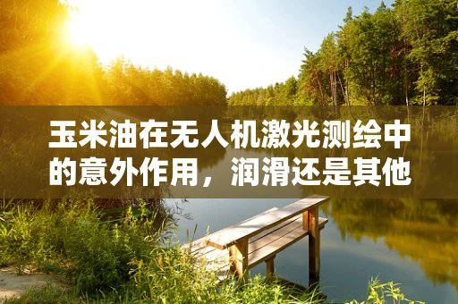 玉米油在无人机激光测绘中的意外作用，润滑还是其他？
