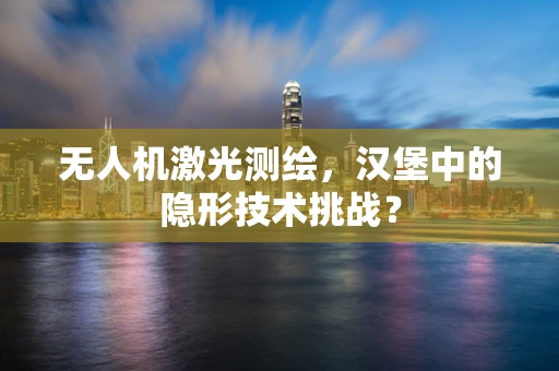 无人机激光测绘，汉堡中的隐形技术挑战？