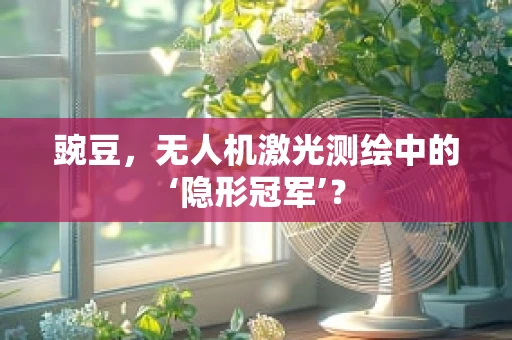豌豆，无人机激光测绘中的‘隐形冠军’？
