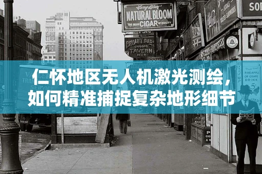 仁怀地区无人机激光测绘，如何精准捕捉复杂地形细节？