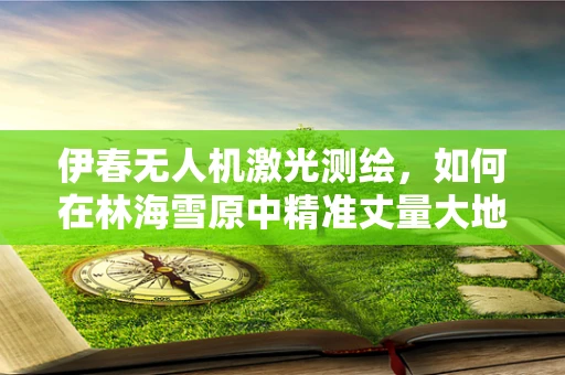伊春无人机激光测绘，如何在林海雪原中精准丈量大地？