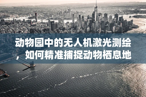动物园中的无人机激光测绘，如何精准捕捉动物栖息地的细节？