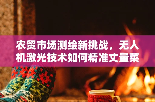 农贸市场测绘新挑战，无人机激光技术如何精准丈量菜篮子的尺寸？