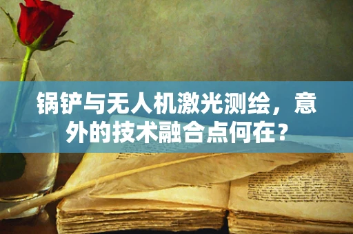 锅铲与无人机激光测绘，意外的技术融合点何在？
