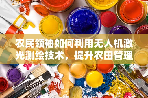农民领袖如何利用无人机激光测绘技术，提升农田管理效率？
