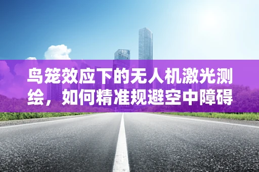 鸟笼效应下的无人机激光测绘，如何精准规避空中障碍？