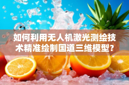 如何利用无人机激光测绘技术精准绘制国道三维模型？
