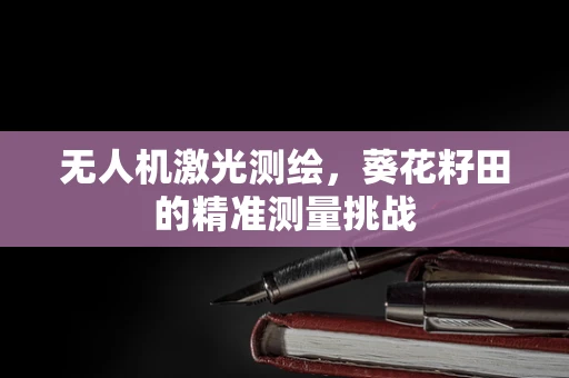 无人机激光测绘，葵花籽田的精准测量挑战