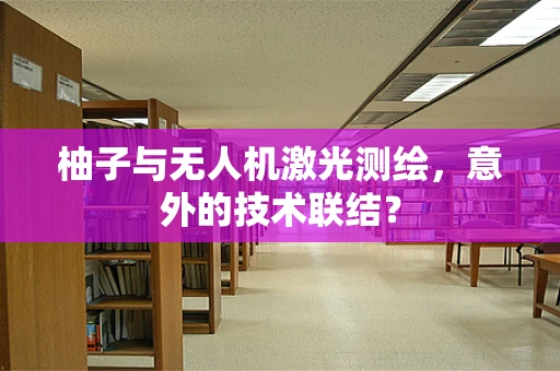 柚子与无人机激光测绘，意外的技术联结？