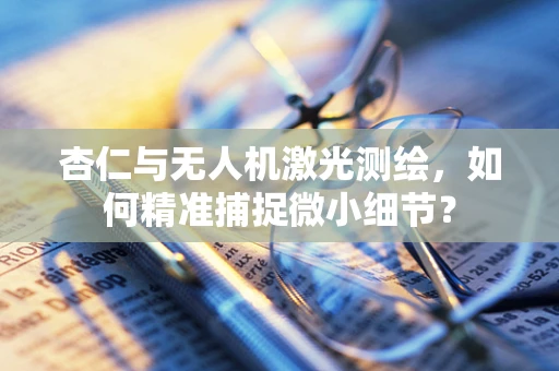 杏仁与无人机激光测绘，如何精准捕捉微小细节？