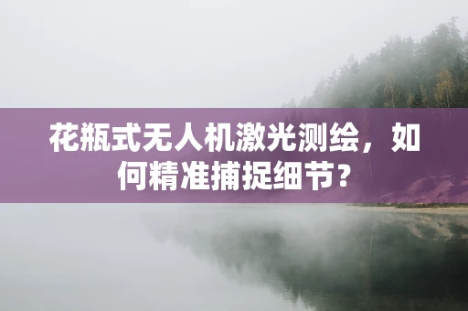 花瓶式无人机激光测绘，如何精准捕捉细节？