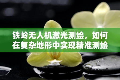 铁岭无人机激光测绘，如何在复杂地形中实现精准测绘？