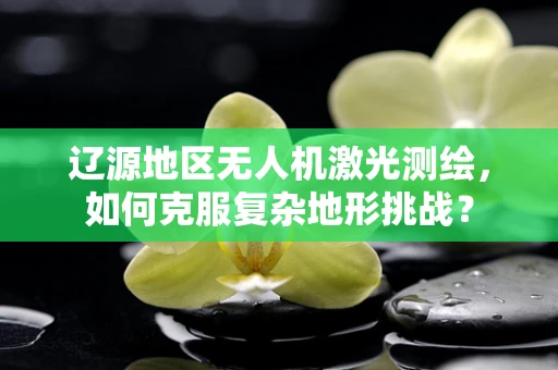 辽源地区无人机激光测绘，如何克服复杂地形挑战？