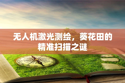 无人机激光测绘，葵花田的精准扫描之谜