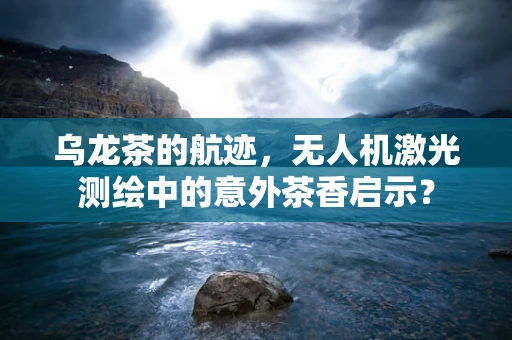 乌龙茶的航迹，无人机激光测绘中的意外茶香启示？