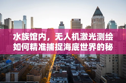 水族馆内，无人机激光测绘如何精准捕捉海底世界的秘密？