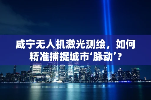 咸宁无人机激光测绘，如何精准捕捉城市‘脉动’？