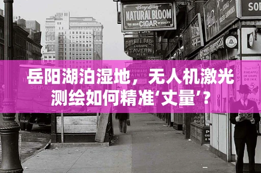 岳阳湖泊湿地，无人机激光测绘如何精准‘丈量’？