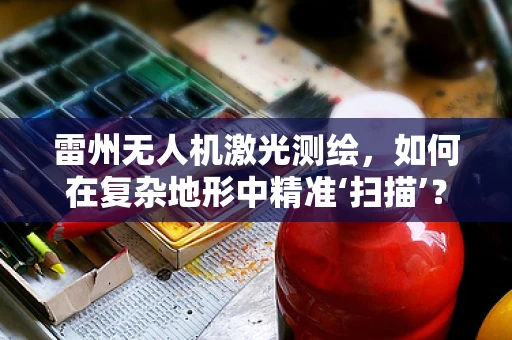 雷州无人机激光测绘，如何在复杂地形中精准‘扫描’？