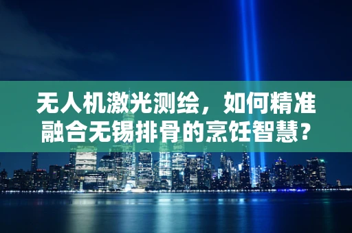 无人机激光测绘，如何精准融合无锡排骨的烹饪智慧？