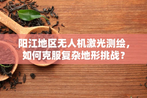 阳江地区无人机激光测绘，如何克服复杂地形挑战？
