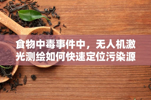 食物中毒事件中，无人机激光测绘如何快速定位污染源？