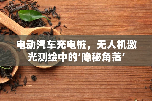 电动汽车充电桩，无人机激光测绘中的‘隐秘角落’