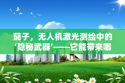茄子，无人机激光测绘中的‘隐秘武器’——它能带来哪些意想不到的惊喜？