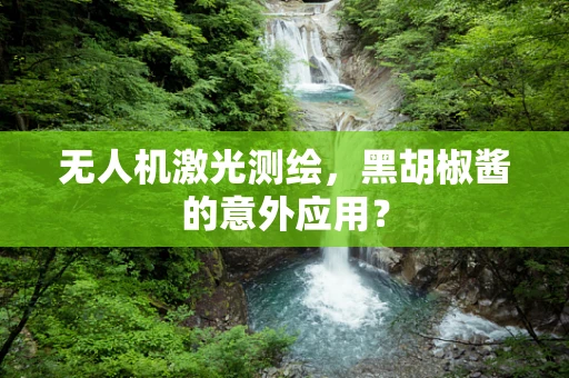 无人机激光测绘，黑胡椒酱的意外应用？