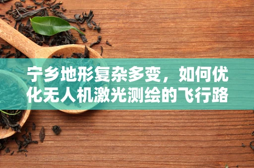 宁乡地形复杂多变，如何优化无人机激光测绘的飞行路径以提高测绘精度？