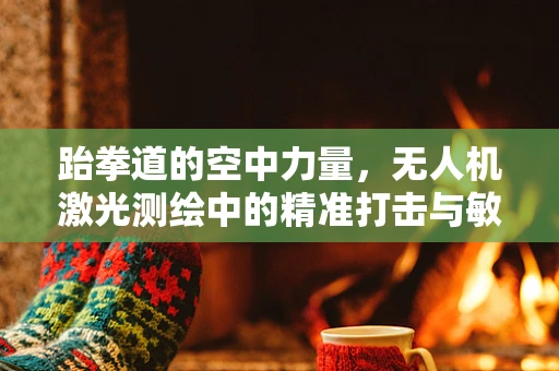 跆拳道的空中力量，无人机激光测绘中的精准打击与敏捷身法