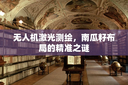 无人机激光测绘，南瓜籽布局的精准之谜