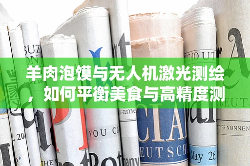 羊肉泡馍与无人机激光测绘，如何平衡美食与高精度测绘？