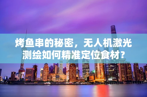 烤鱼串的秘密，无人机激光测绘如何精准定位食材？
