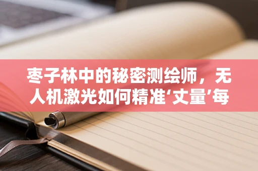 枣子林中的秘密测绘师，无人机激光如何精准‘丈量’每一颗枣树？