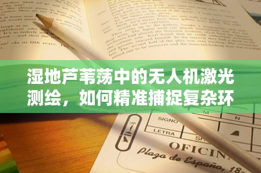 湿地芦苇荡中的无人机激光测绘，如何精准捕捉复杂环境下的细节？