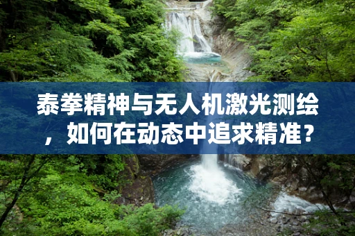 泰拳精神与无人机激光测绘，如何在动态中追求精准？