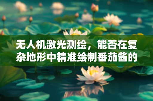 无人机激光测绘，能否在复杂地形中精准绘制番茄酱的秘密？