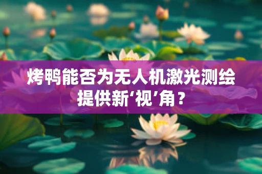 烤鸭能否为无人机激光测绘提供新‘视’角？