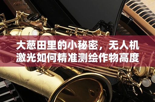 大葱田里的小秘密，无人机激光如何精准测绘作物高度？