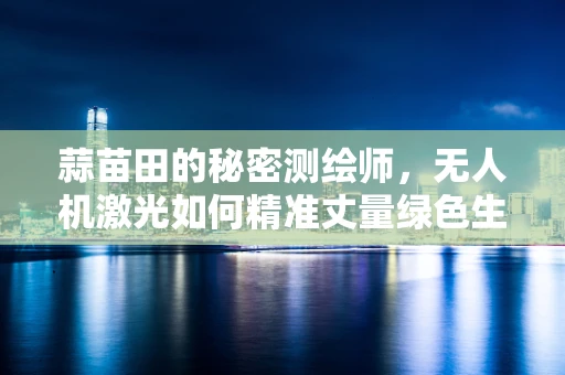 蒜苗田的秘密测绘师，无人机激光如何精准丈量绿色生长？