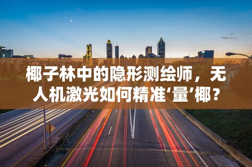 椰子林中的隐形测绘师，无人机激光如何精准‘量’椰？