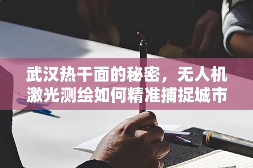 武汉热干面的秘密，无人机激光测绘如何精准捕捉城市轮廓？