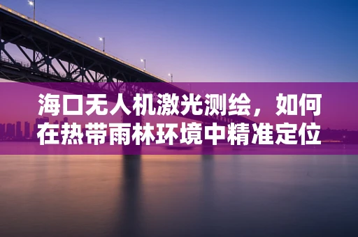海口无人机激光测绘，如何在热带雨林环境中精准定位？