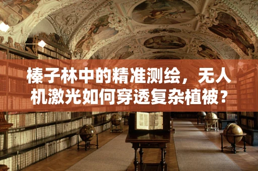 榛子林中的精准测绘，无人机激光如何穿透复杂植被？