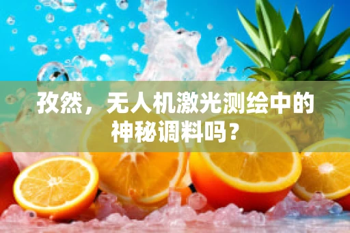 孜然，无人机激光测绘中的神秘调料吗？