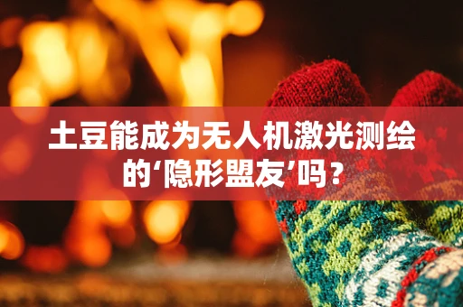 土豆能成为无人机激光测绘的‘隐形盟友’吗？