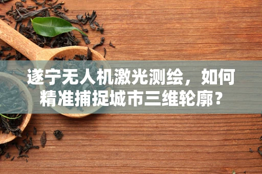 遂宁无人机激光测绘，如何精准捕捉城市三维轮廓？